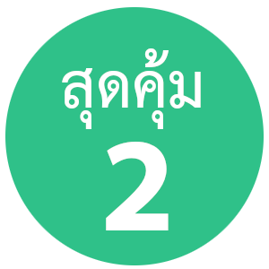 เว็บโฮสติ้ง สำหรับองค์กร คุ้มสุดๆ ใช้งานโดเมนจำนวนมาก และอีเมล์จำนวนมาก - แนะนำ thailandwebhost.com web hosting thailand