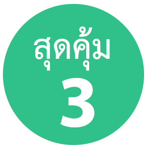เว็บโฮสติ้ง เว็บโฮสติ้ง สำหรับองค์กร คุ้มสุดๆ ใช้งานโดเมนจำนวนมาก และอีเมล์จำนวนมาก - แนะนำ thailandwebhost.com web hosting thailand